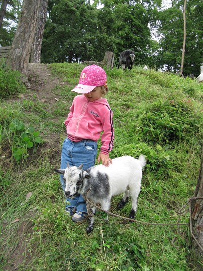 Kdopak tě sem přivázal? 