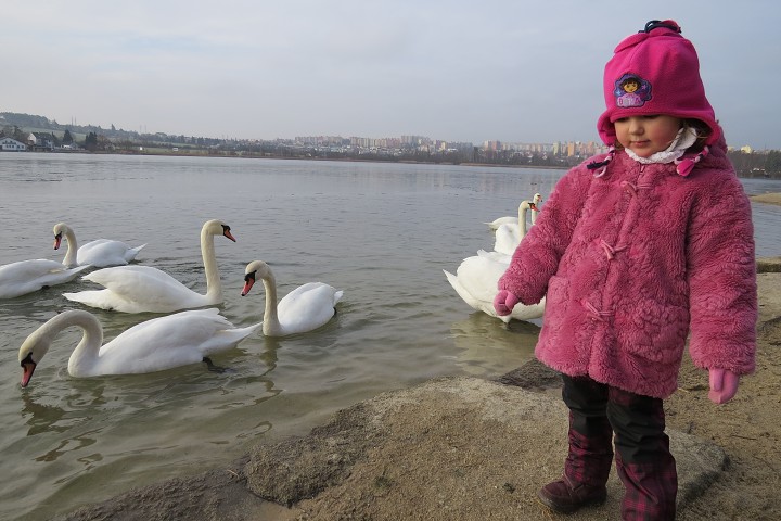 Labutí jezero při Novoročním pochodu 