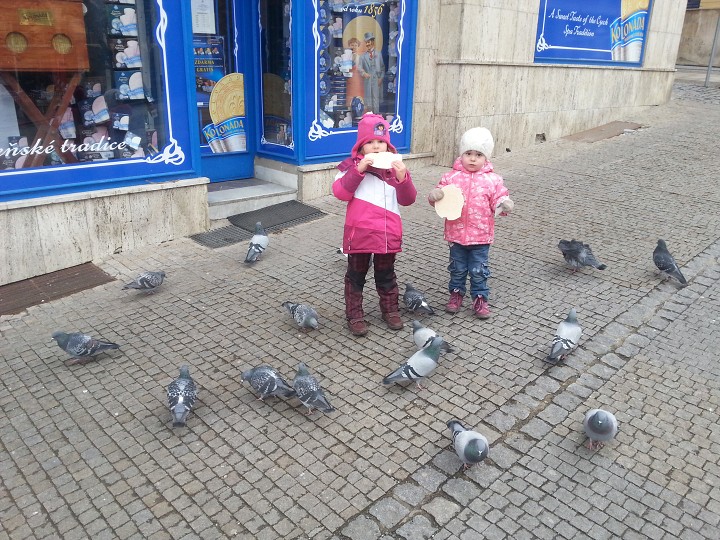 Krmíme sebe i holoubky 