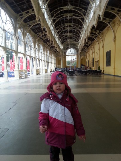 Návštěva mariánskolázeňské kolonády 