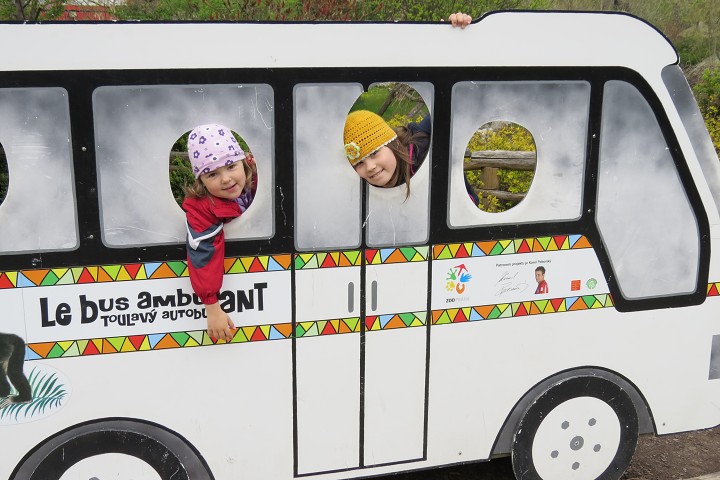 Toulavý autobus v pražské ZOO 