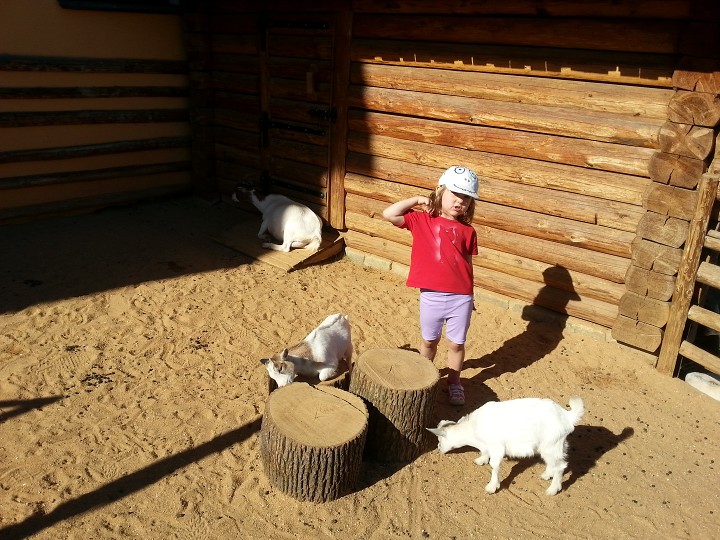 Oblíbená zastávka v ZOO 