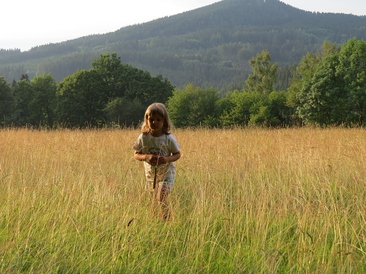 Procházka šumavskou savanou 