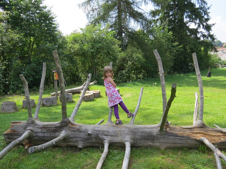 Překážková dráha 